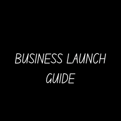 From Idea To Income: STEP-BY-STEP Business Launch Guide